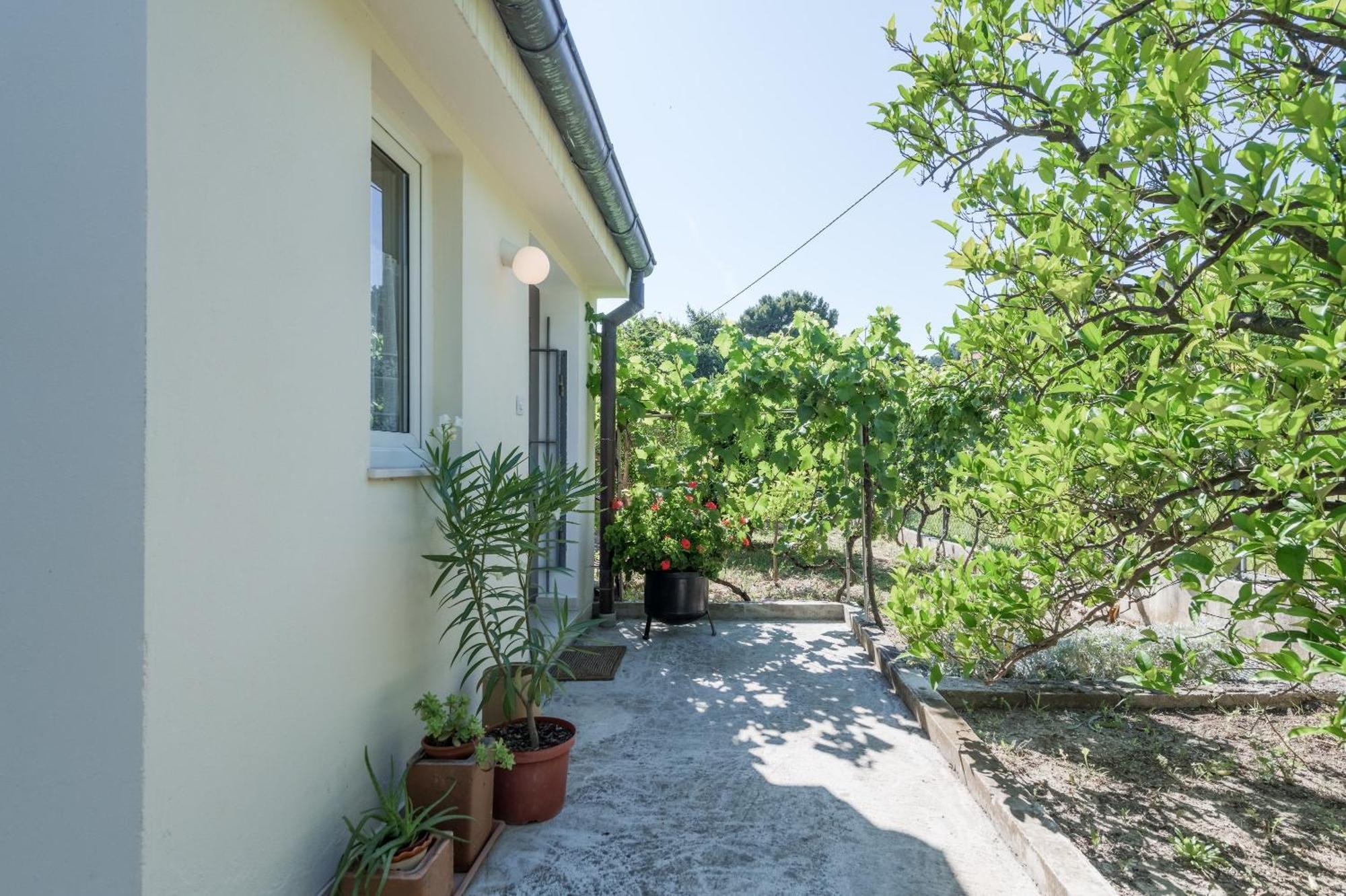 Beachfront Apartment Milan, With Balcony Σπλιτ Εξωτερικό φωτογραφία